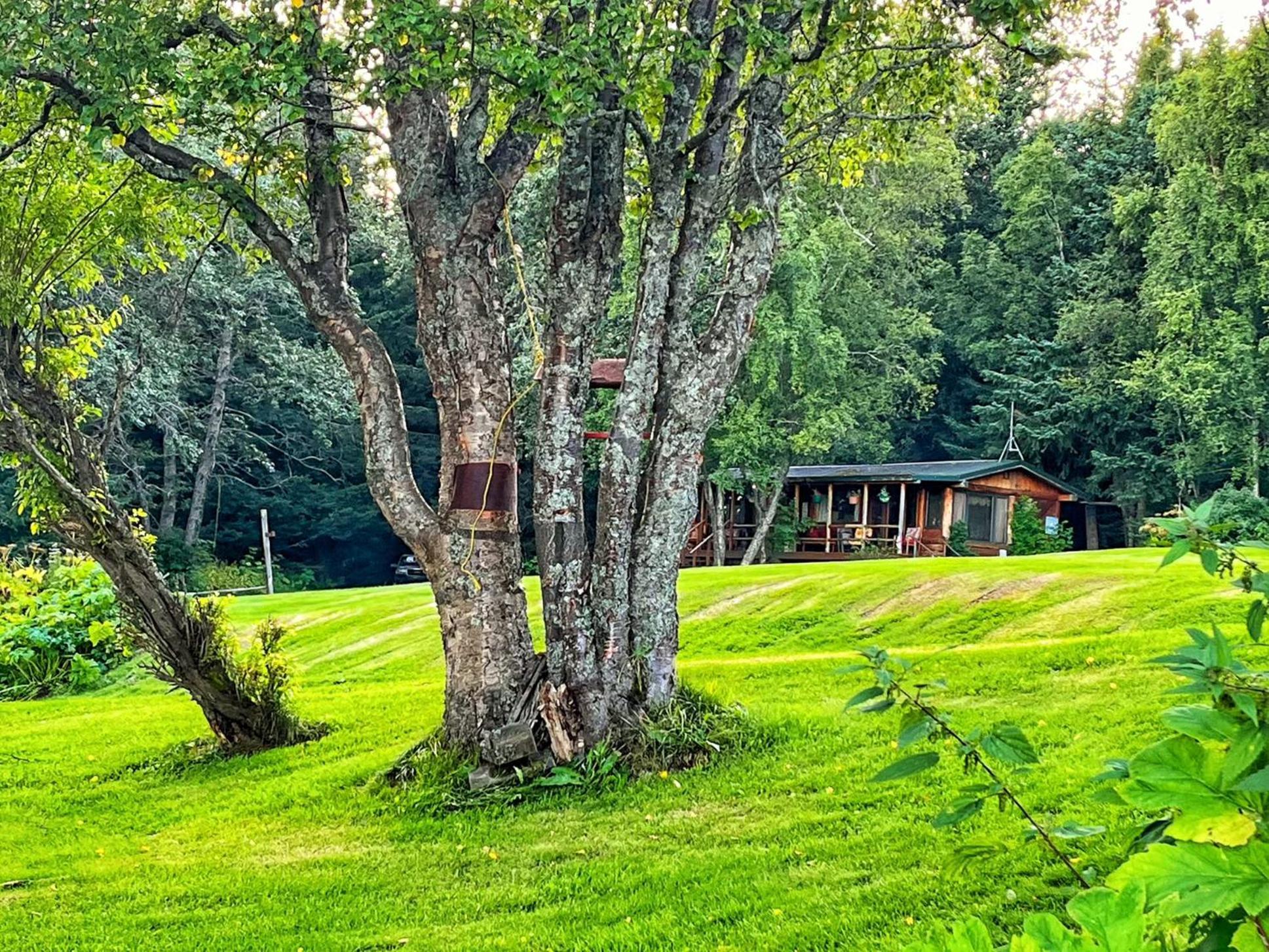 Moose Twin Cabin Homer Exterior photo